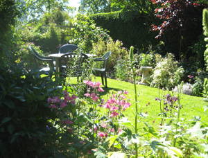 A peaceful garden in Pettitts Lane